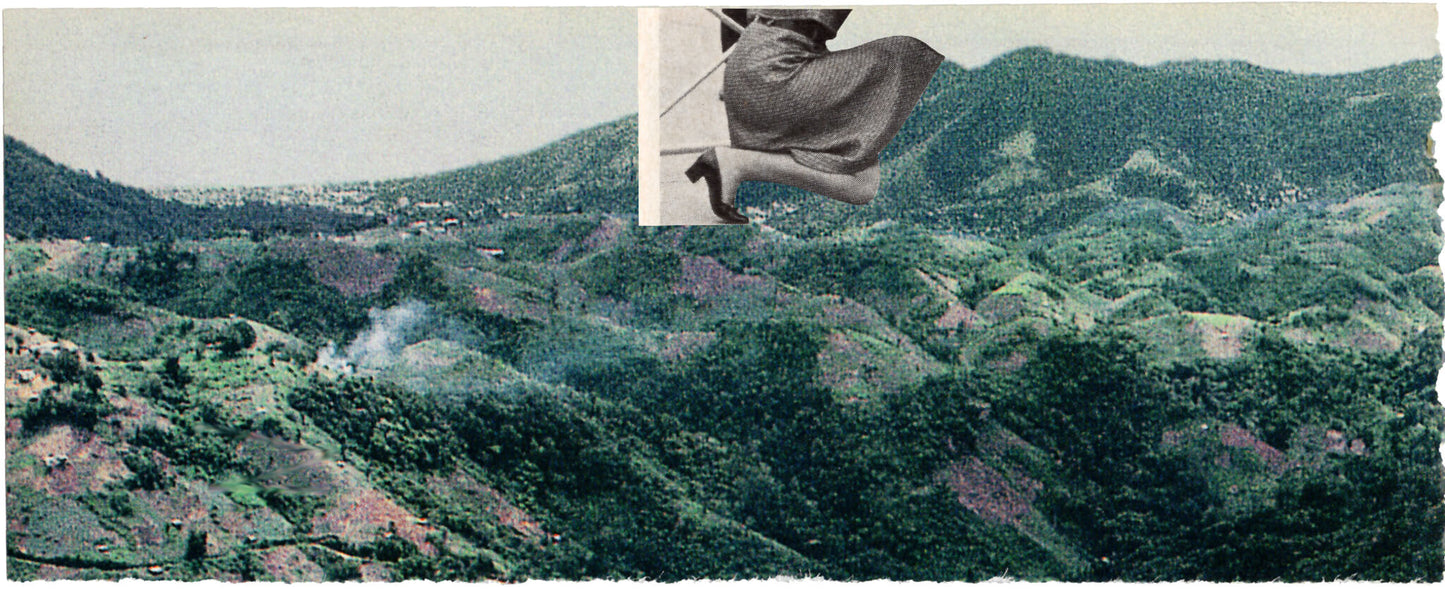 Sustainable Living Books Bundle - Eco-Friendly Guide Collection